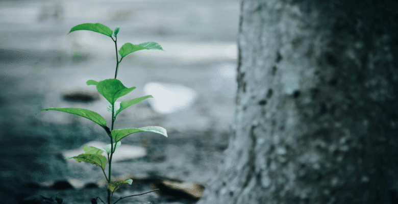 When Life Happens: Build Resilience Through Functional Medicine and Intentional Healing